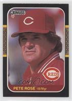 Pete Rose [EX to NM]