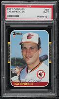 Cal Ripken Jr. [PSA 7 NM]