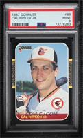 Cal Ripken Jr. [PSA 9 MINT]