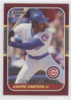 Andre Dawson