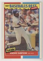 Andre Dawson