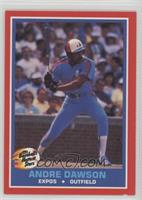 Andre Dawson [Noted]