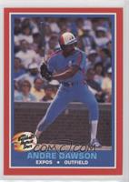 Andre Dawson