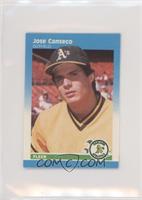 Jose Canseco