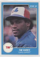 Tim Raines Expo Expert/Checklist