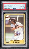 Tony Gwynn [PSA 8 NM‑MT]