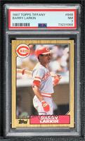 Barry Larkin [PSA 7 NM]