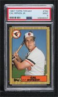 Cal Ripken [PSA 9 MINT]