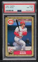 Pete Rose [PSA 8 NM‑MT]