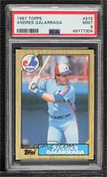 Andres Galarraga [PSA 9 MINT]