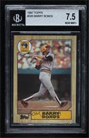 Barry Bonds [BGS 7.5 NEAR MINT+]