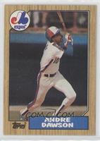 Andre Dawson