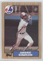 Andre Dawson