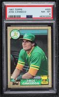 Jose Canseco [PSA 8 NM‑MT]