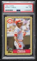 Barry Larkin [PSA 8 NM‑MT]