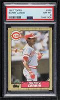 Barry Larkin [PSA 8 NM‑MT]