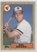 Cal Ripken