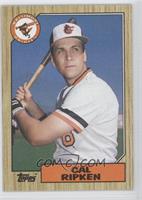 Cal Ripken