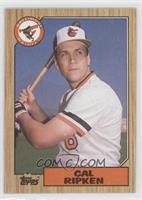 Cal Ripken