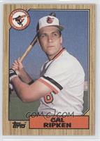 Cal Ripken