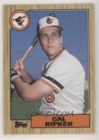 Cal Ripken