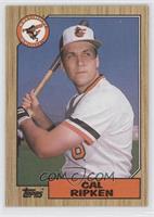 Cal Ripken