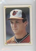 Cal Ripken Jr. [EX to NM]