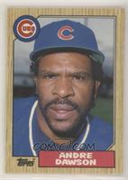 Andre Dawson