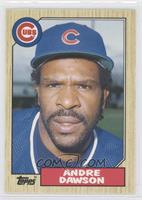 Andre Dawson