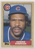 Andre Dawson