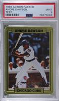 Andre Dawson [PSA 9 MINT]