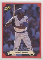 Andre Dawson