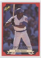 Andre Dawson