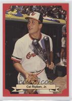 Cal Ripken Jr.