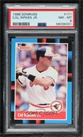 Cal Ripken Jr. (Last Line Begins with Texas) [PSA 8 NM‑MT]