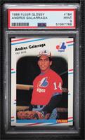 Andres Galarraga [PSA 9 MINT]