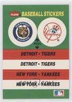 Detroit Tigers Team, New York Yankees Team (Fenway Park)