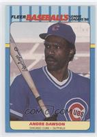 Andre Dawson