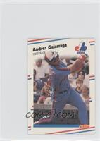 Andres Galarraga