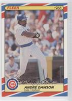 Andre Dawson