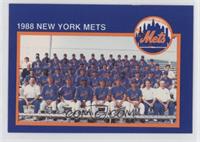 New York Mets Team