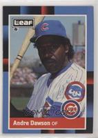 Andre Dawson