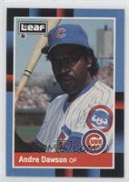 Andre Dawson