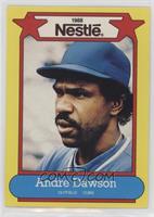 Andre Dawson