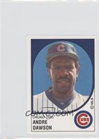 Andre Dawson