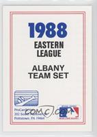 Team Checklist - Albany Yankees