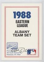 Team Checklist - Albany Yankees