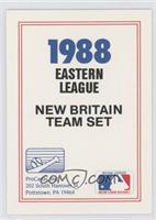 Team Checklist - New Britain Red Sox