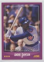 Andre Dawson