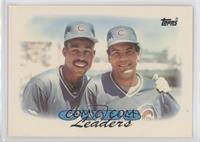 Team Leaders - Chicago Cubs